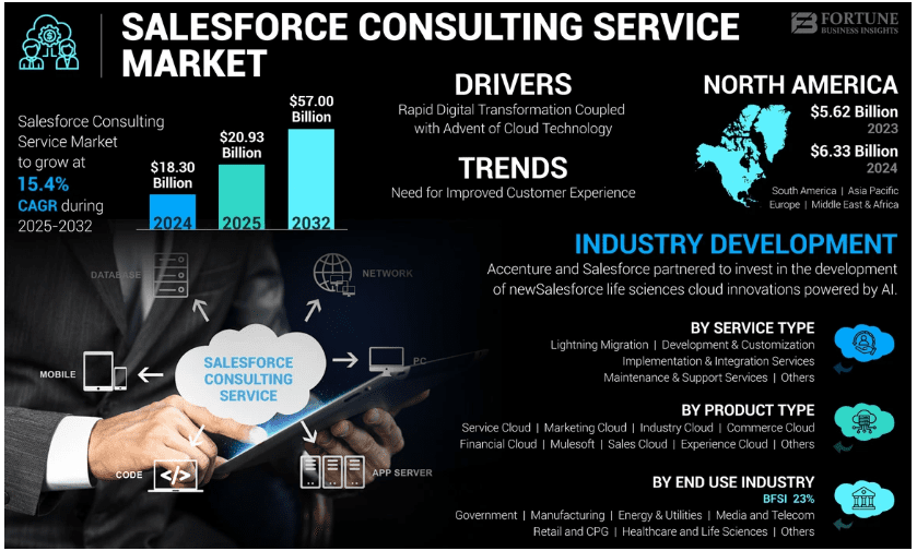 Salesforce Consulting Stastics