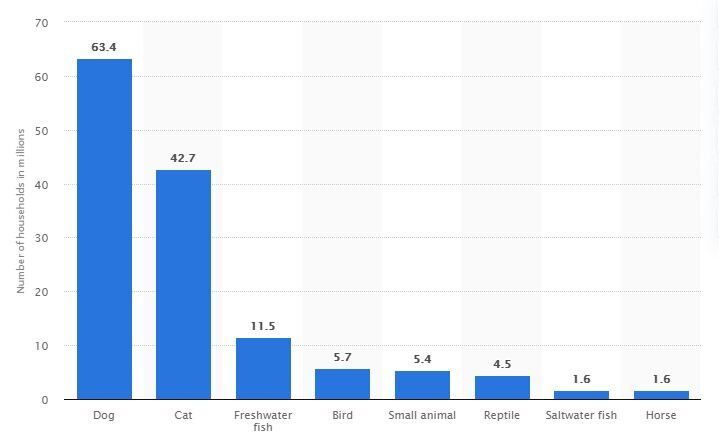 market stats of pet care app