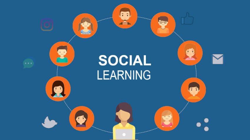 Social learning