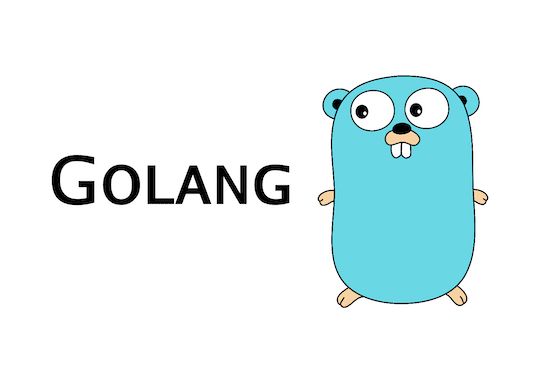 Blockchain Languages Golang