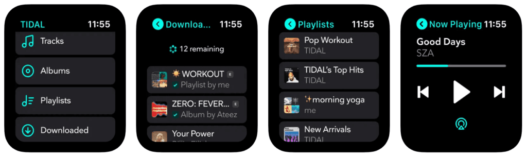 Tidal&nbsp;apple watch app