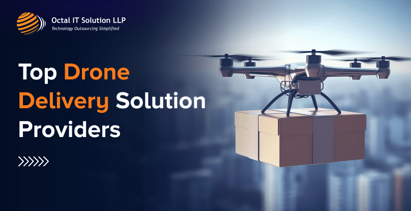 Top Drone Delivery Solution Providers