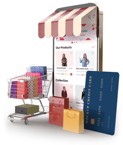 B2C – B2B Ecommerce Store Development