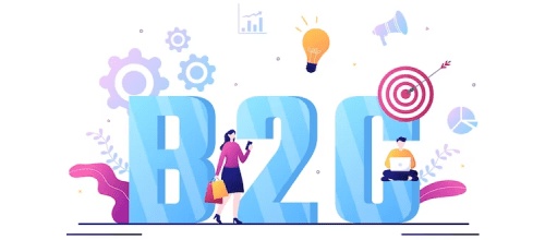 Business-to-Consumer Portals 
