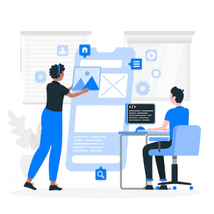 Custom Development