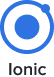 Octal IT Solution Services