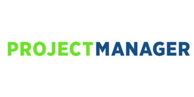 project manager