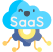 SaaS Software Development