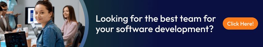 software development