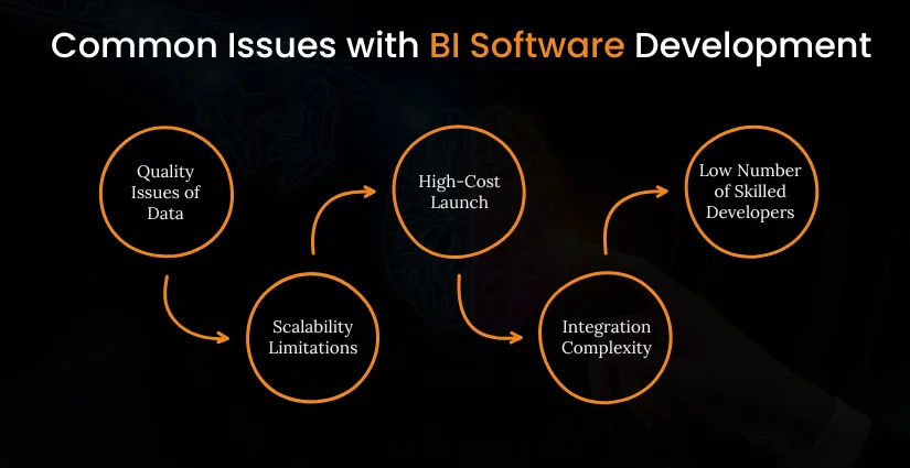 Common Issues with BI Software Development