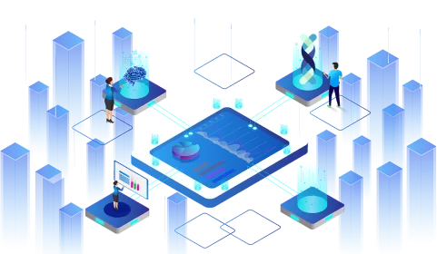 Octal IT Solution Services