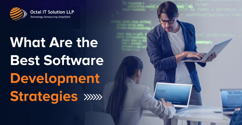 What Are the Best Software Development strategy for 2025?