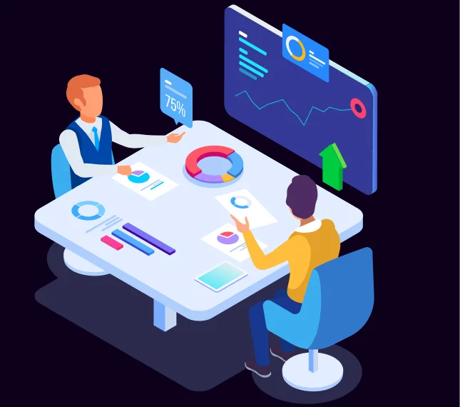 Software Consulting Services