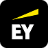 Ernst & Young (EY)