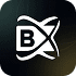 BlockchainX
