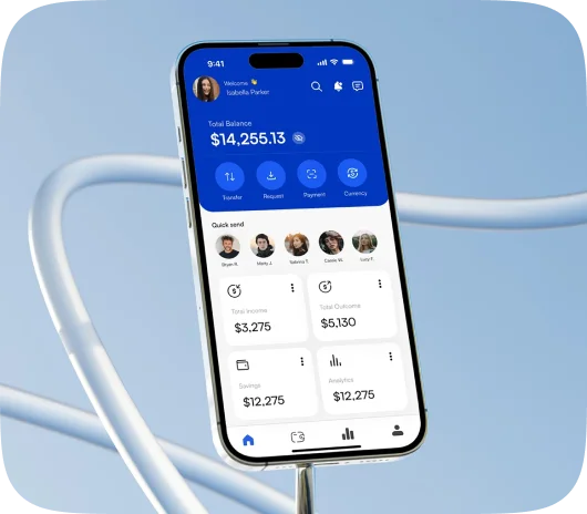 User Panel For E Wallet Software Development